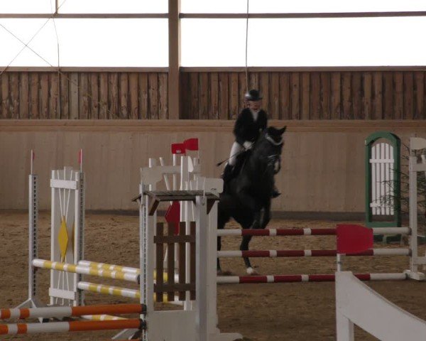Reitturnier Marktredwitz-Haag/Ofr. 2024