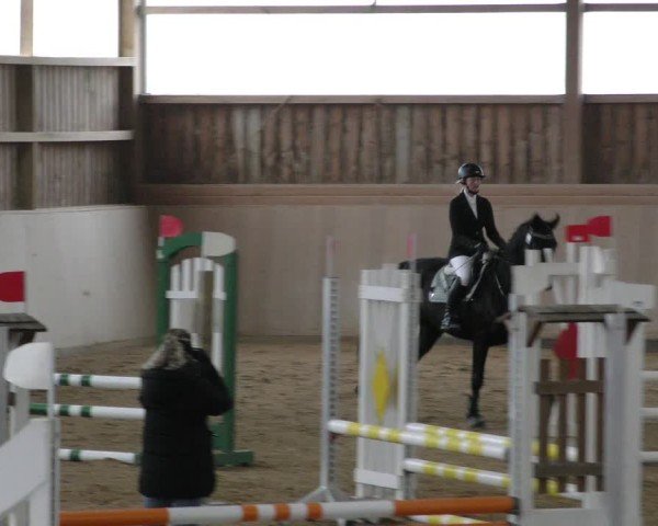 Reitturnier Marktredwitz-Haag/Ofr. 2024