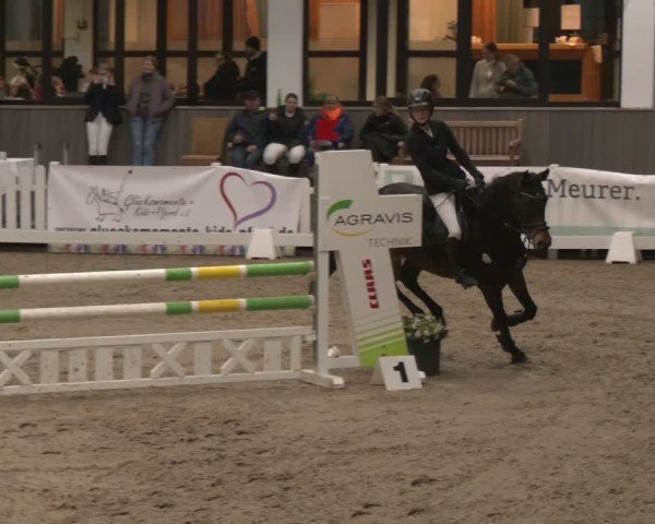 Reitturnier Münster-Handorf 2024