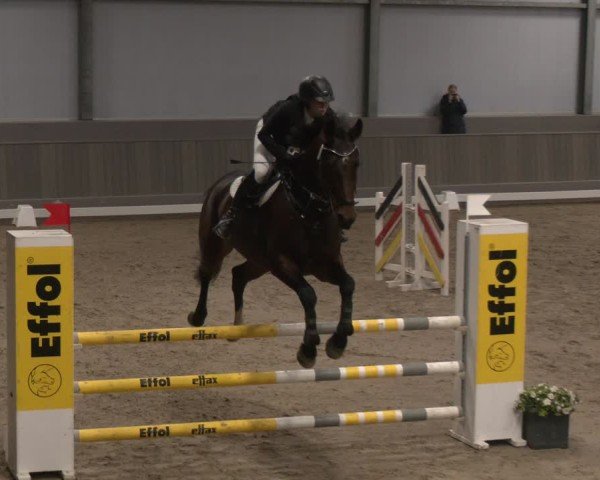 Reitturnier Münster-Handorf 2024