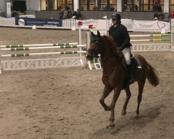 Reitturnier Münster-Handorf 2024