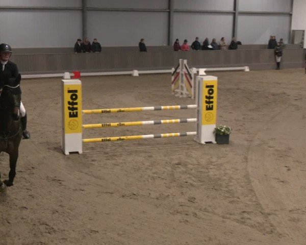 Reitturnier Münster-Handorf 2024