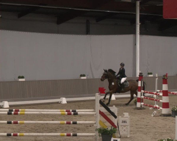 Reitturnier Münster-Handorf 2024