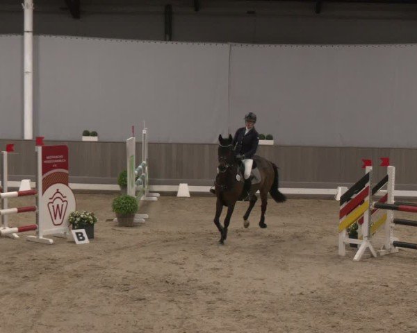 Reitturnier Münster-Handorf 2024