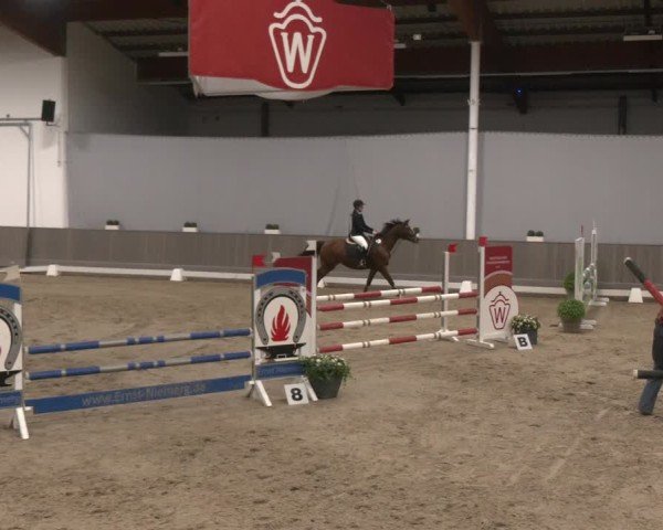 Reitturnier Münster-Handorf 2024