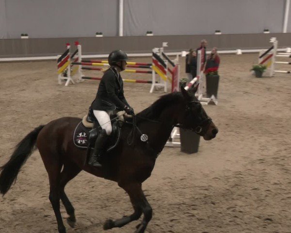 Reitturnier Münster-Handorf 2024