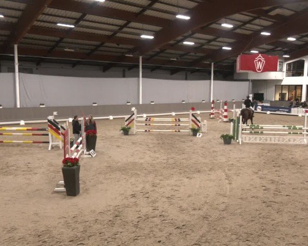 Reitturnier Münster-Handorf 2024
