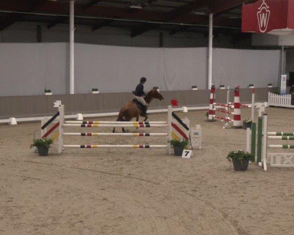 Reitturnier Münster-Handorf 2024