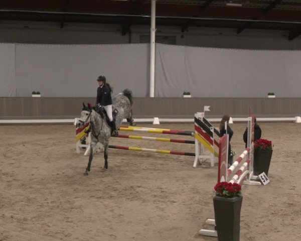 Reitturnier Münster-Handorf 2024