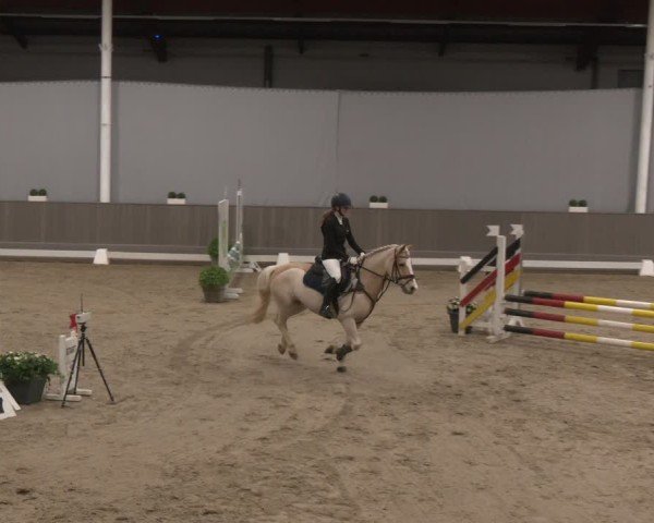 Reitturnier Münster-Handorf 2024