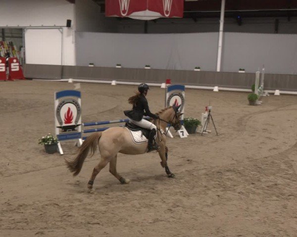 Reitturnier Münster-Handorf 2024
