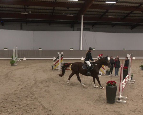 Reitturnier Münster-Handorf 2024