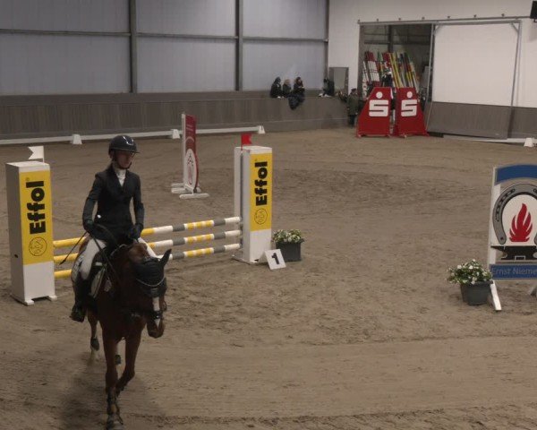 Reitturnier Münster-Handorf 2024