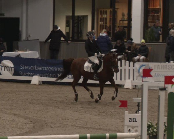 Reitturnier Münster-Handorf 2024