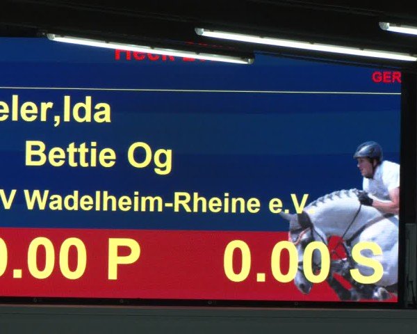 Reitturnier Heek-Nienborg 2024