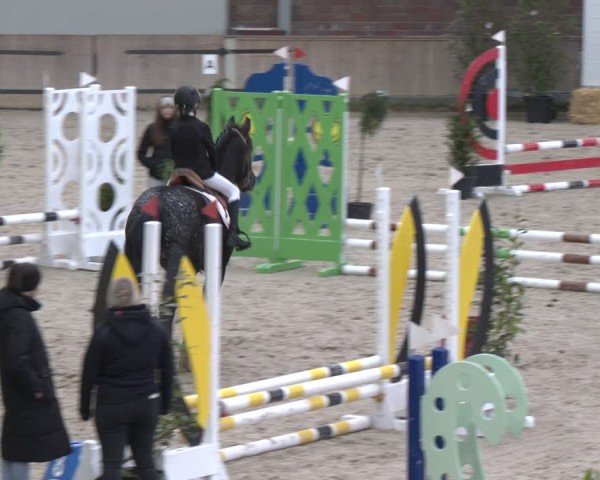 Reitturnier Heek-Nienborg 2024