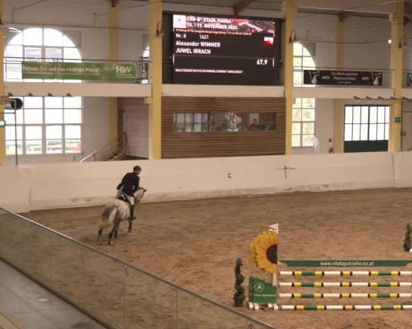 Reitturnier Stadl-Paura 2024