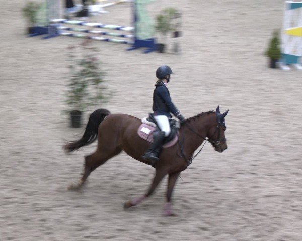 Reitturnier Heek-Nienborg 2024