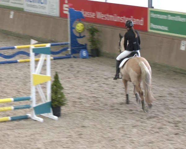 Reitturnier Heek-Nienborg 2024
