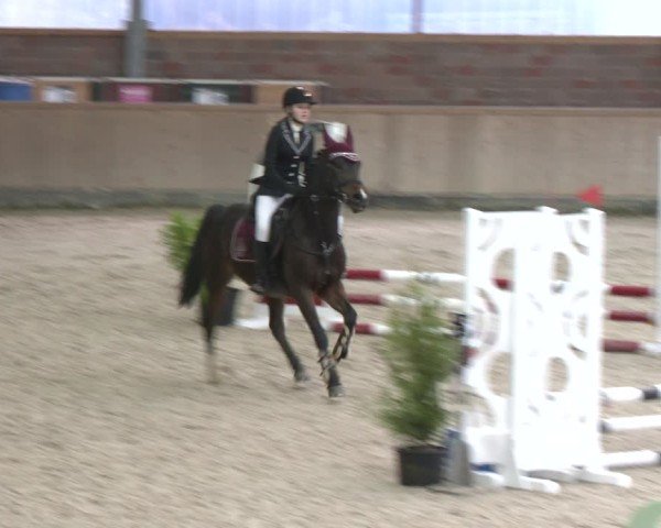 Reitturnier Heek-Nienborg 2024