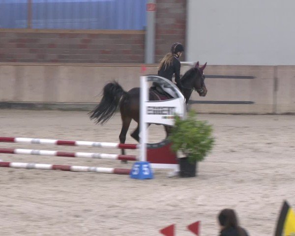 Reitturnier Heek-Nienborg 2024