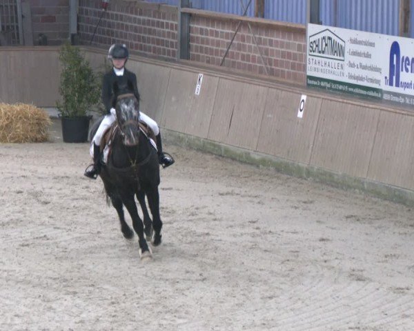 Reitturnier Heek-Nienborg 2024