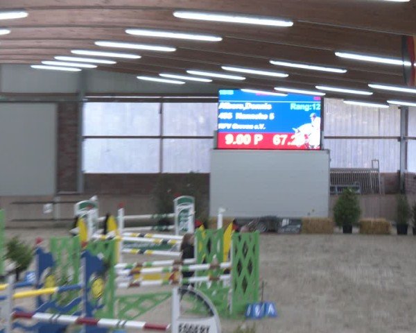 Reitturnier Heek-Nienborg 2024