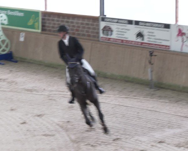 Reitturnier Heek-Nienborg 2024