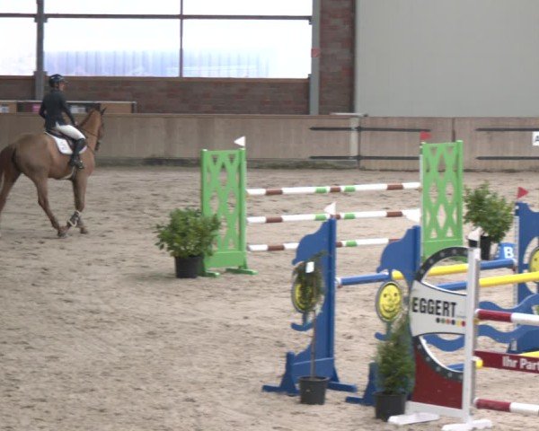 Reitturnier Heek-Nienborg 2024