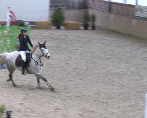 Reitturnier Heek-Nienborg 2024