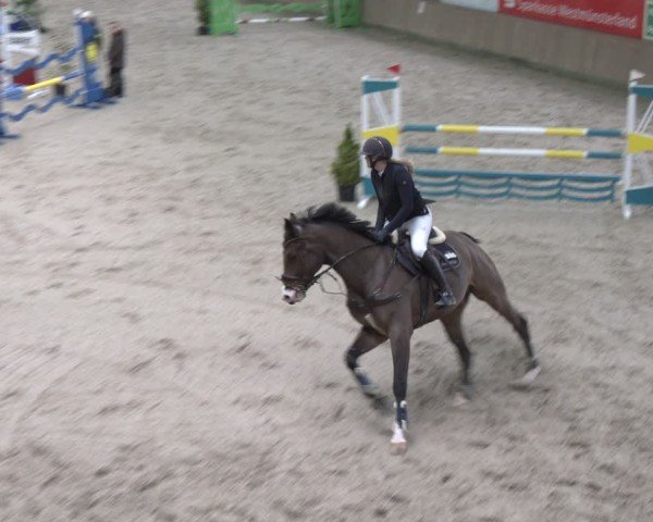 Reitturnier Heek-Nienborg 2024