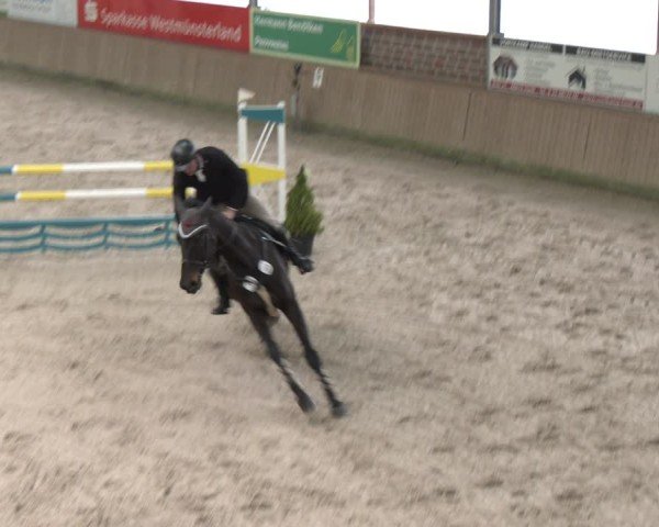 Reitturnier Heek-Nienborg 2024