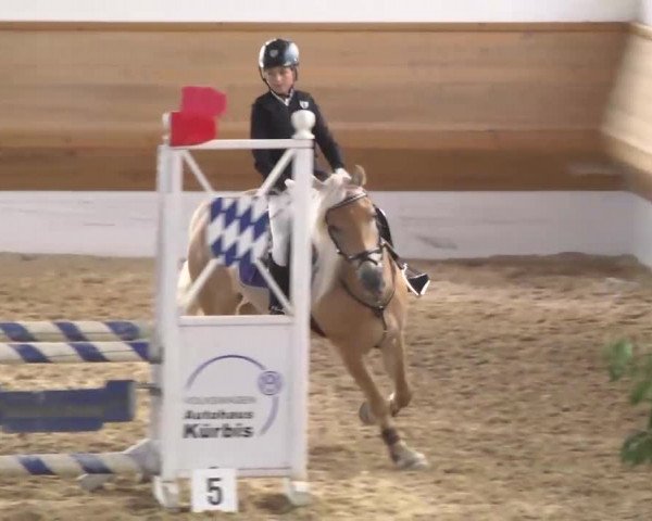 Reitturnier Thierhaupten-Ötz 2013