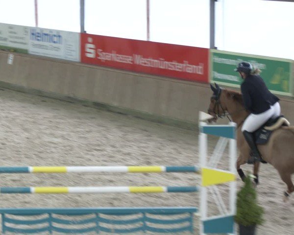 Reitturnier Heek-Nienborg 2024