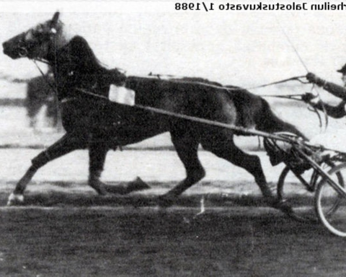 broodmare Sa Bourbonnaise (FR) (French Trotter, 1940, from Karoly II (FR))