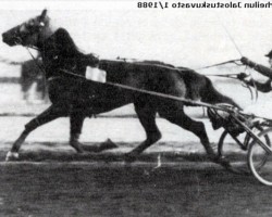 broodmare Sa Bourbonnaise (FR) (French Trotter, 1940, from Karoly II (FR))