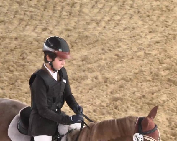 Bayerisches Landesponyturnier 2013