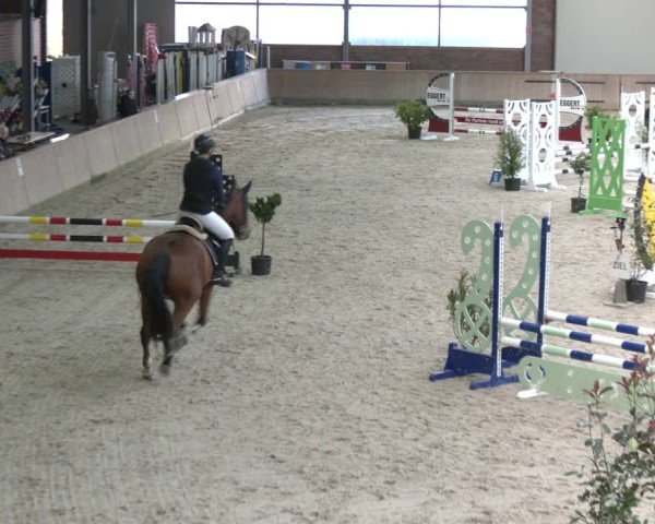 Reitturnier Heek-Nienborg 2024