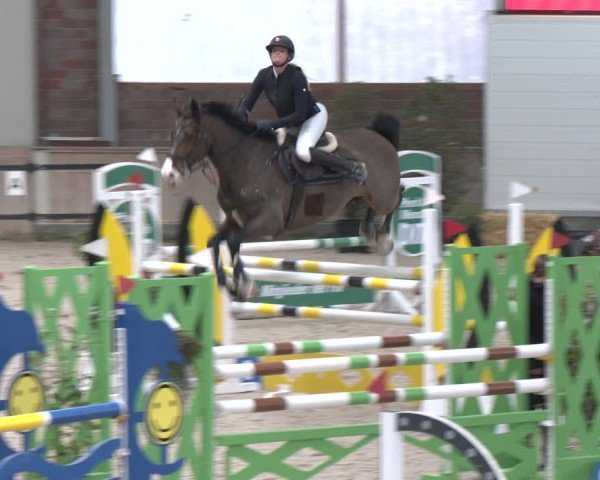 Reitturnier Heek-Nienborg 2024