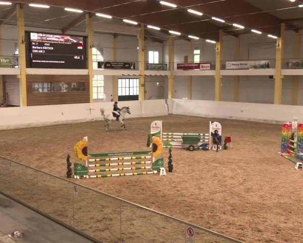 Reitturnier Stadl-Paura 2024