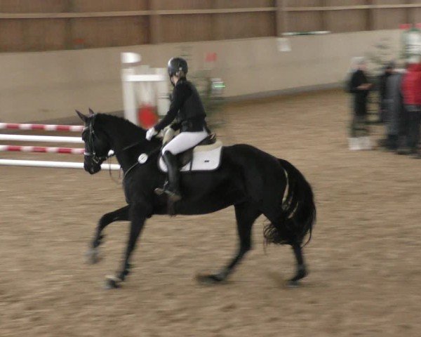 Reitturnier Marktredwitz-Haag/Ofr. 2024
