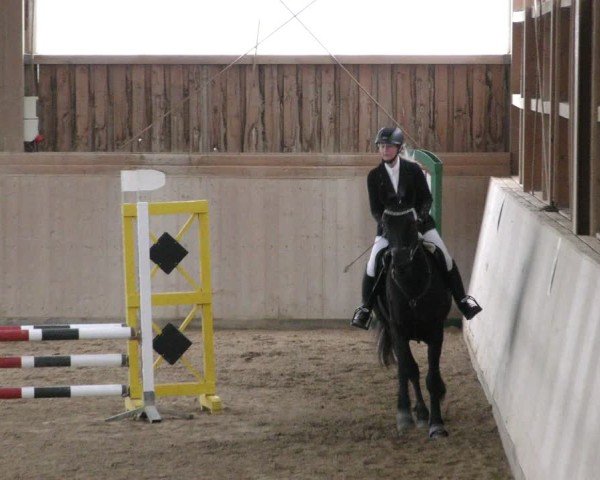 Reitturnier Marktredwitz-Haag/Ofr. 2024