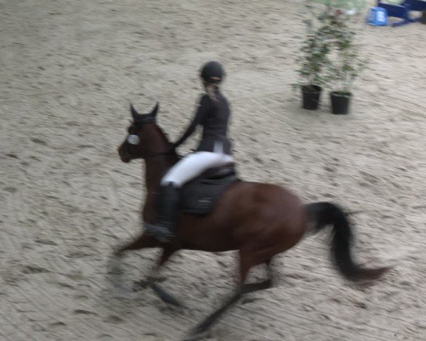Reitturnier Heek-Nienborg 2024