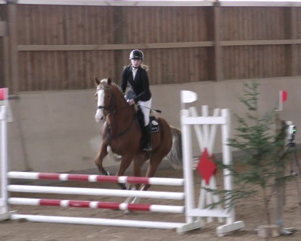 Reitturnier Marktredwitz-Haag/Ofr. 2024