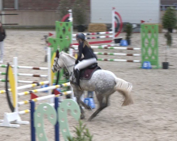 Reitturnier Heek-Nienborg 2024