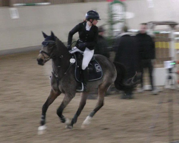 Reitturnier Marktredwitz-Haag/Ofr. 2024
