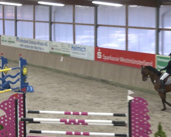 Reitturnier Heek-Nienborg 2024