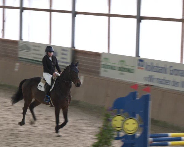 Reitturnier Heek-Nienborg 2024
