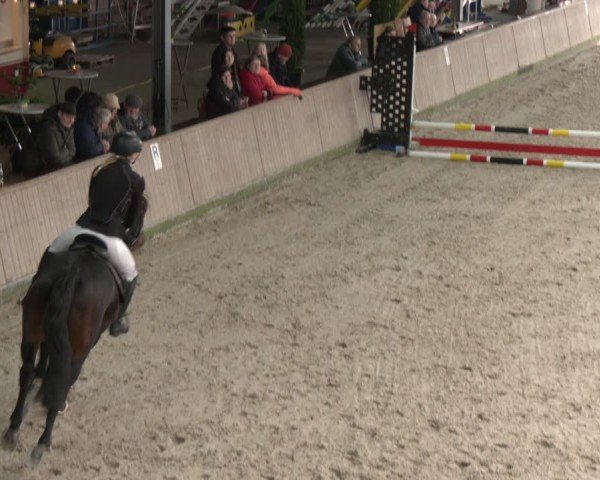 Reitturnier Heek-Nienborg 2024
