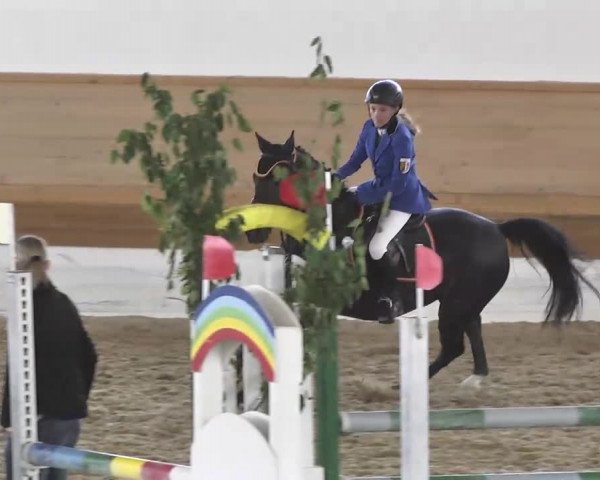 Reitturnier Thierhaupten-Ötz 2013